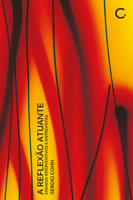 A reflexão atuante – Sergio Cohn
