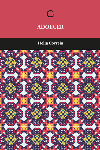 Adoecer – Hélia Correia