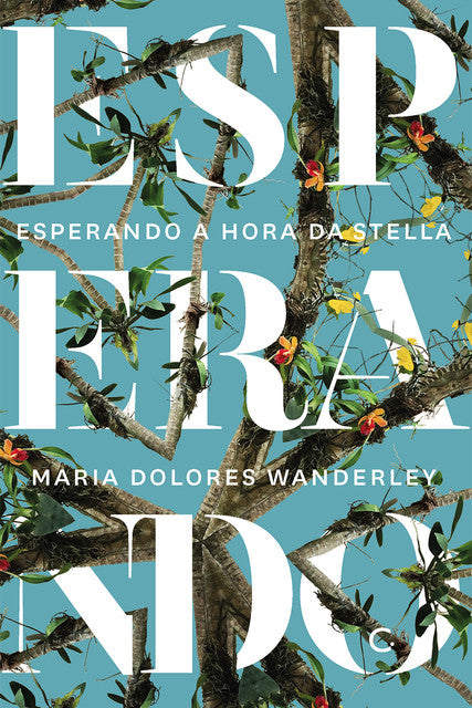 Esperando a hora da Stella – Maria Dolores Wanderley