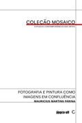 Fotografia e pintura como imagens em confluência – Mauricius Martins Farina