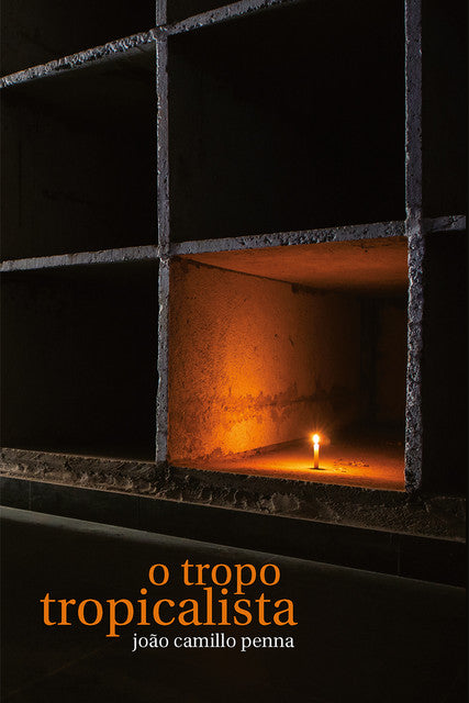 O tropo tropicalista – João Camillo Penna